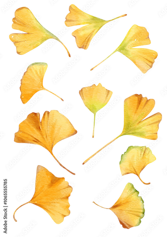 Obraz premium Hand-drawn watercolor illustration of ginkgo leaves in soft yellow and orange hues, featuring delicate details and a natural, elegant design.