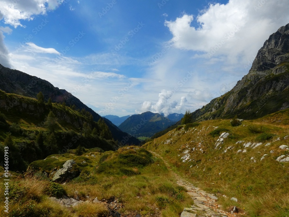 Fototapeta premium vista sulle alpi