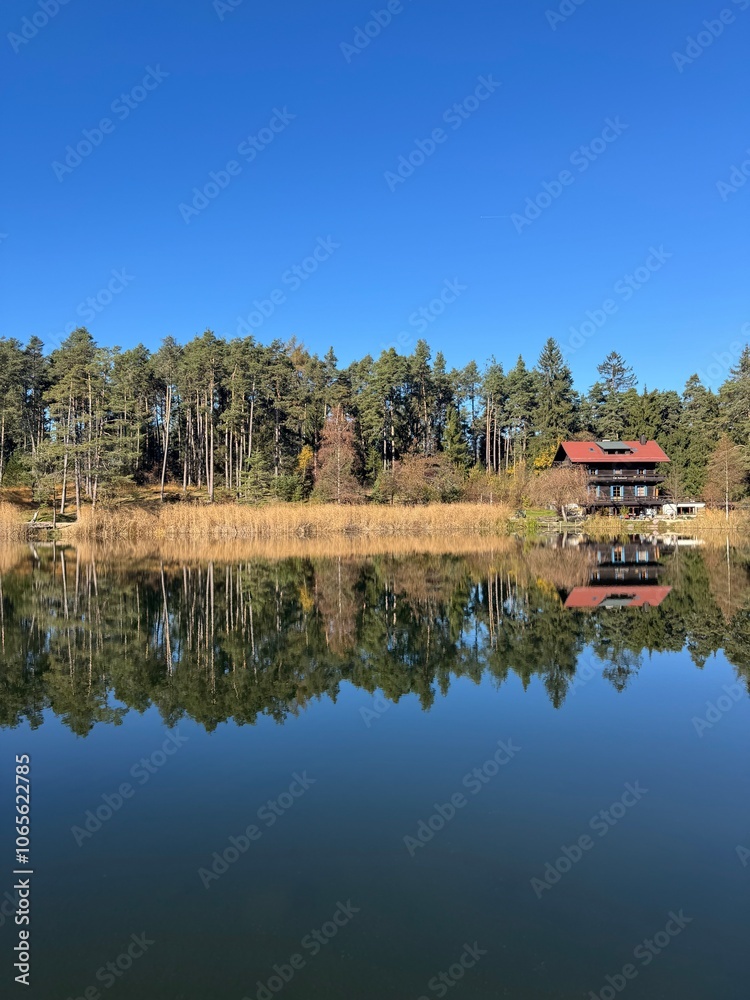 Obraz premium reflection in the water