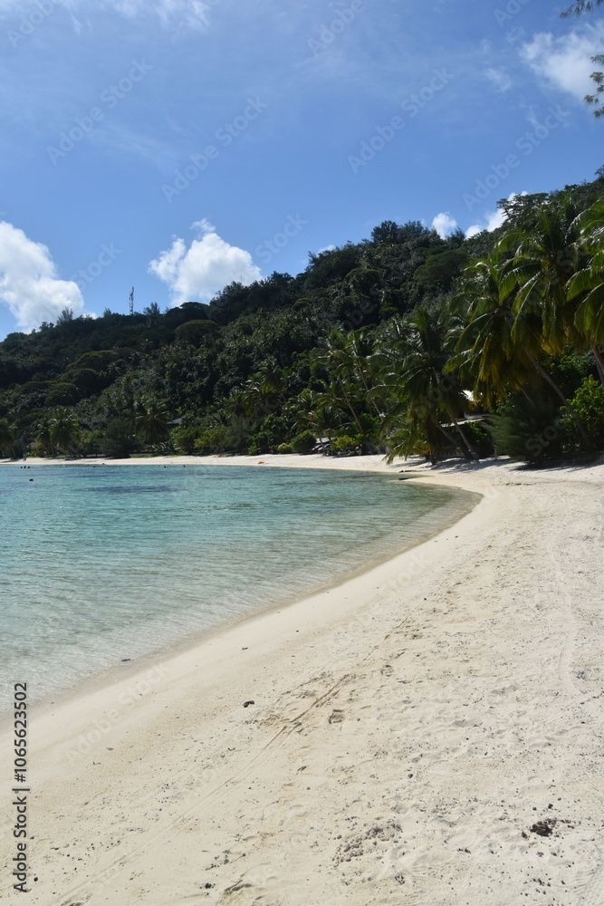 Fototapeta premium The white sand beaches and green backdrop on Bora Bora, French Polynesia