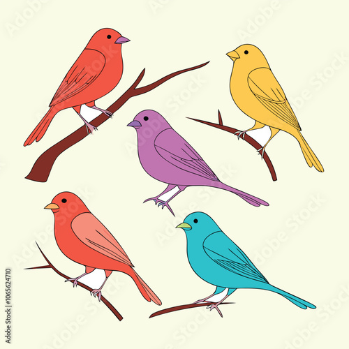 Creative Collection of various Bird's Illustration Design