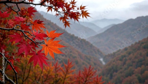 Autumnal Tree Close-Up in Great Smoky Mountains photo