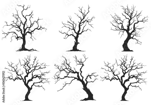 set of trees 