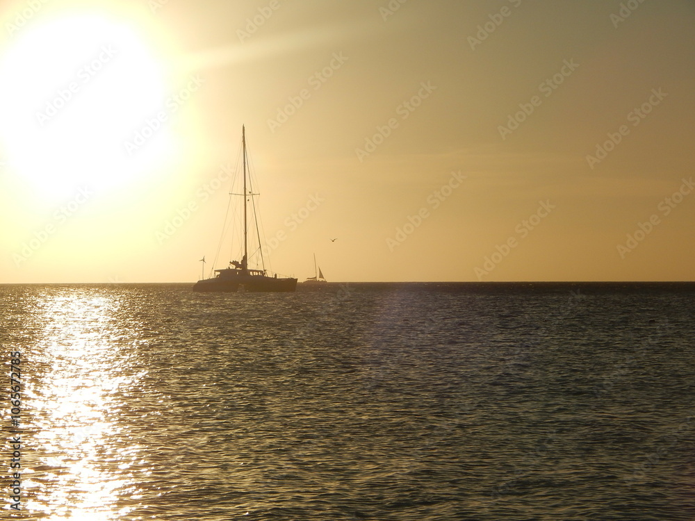 Fototapeta premium sunset in the sea