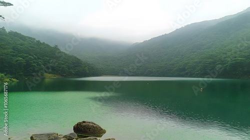 Eutrophication :water pollution. A serene lake with a thick layer of green algae covering its surface. The lack of oxygen harms aquatic life. Plenty of copy space for captions.  photo