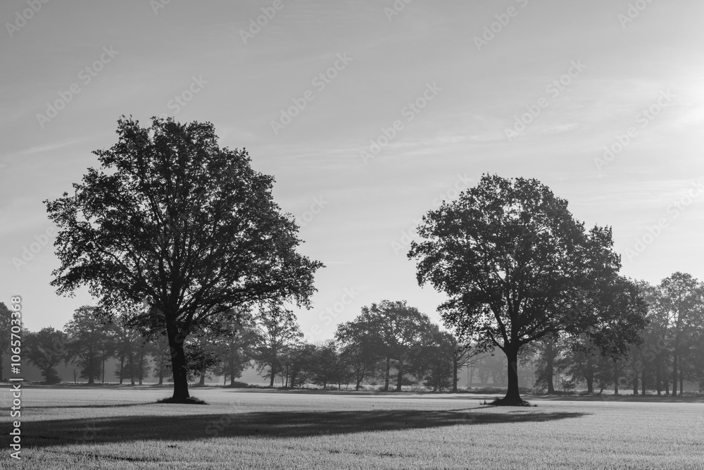 Naklejka premium Herbstzeit in Bocholt