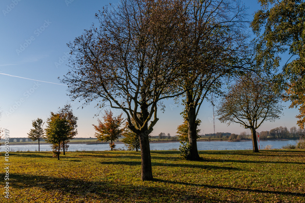 Fototapeta premium Herbststimmung am Rhein