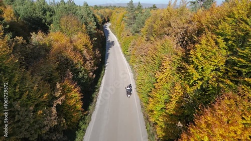 motorbike on the road with the beautiful view of forest at autumn