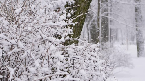 Snowstorm in the forest, winter landscape. Heavy snowfall in the city park. Winter landscape - a snow-covered park with beautiful trees, covered with hoarfrost