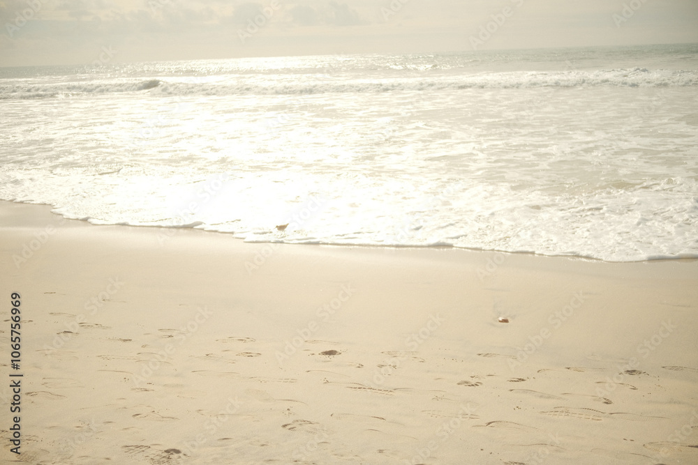 Dreamy Day at Carlsbad Beach Dreamy Day at Carlsbad Beach