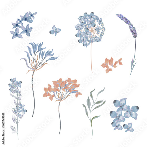 Set of vector hand drawn field meadow flowers