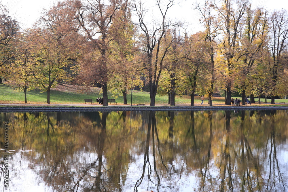 Obraz premium autumn trees reflected in water