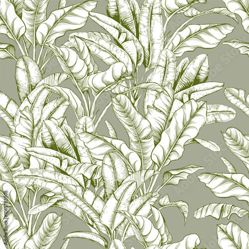 Seamless pattern with palm leaves on green background. Vector botanical background.