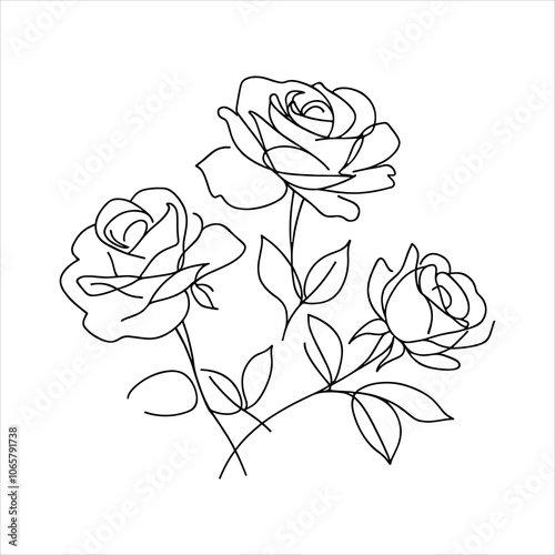 Roses, continuous one line sketch. Line art flower. Hand drawn vector art