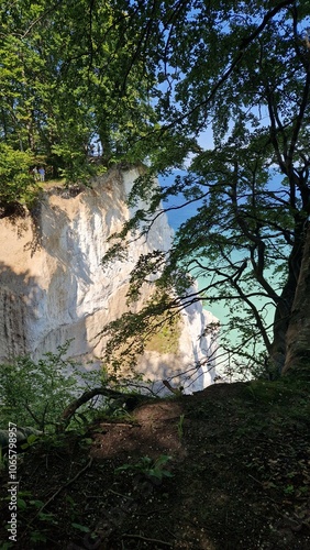 Kreidefelsen in Dänemark, Mons Klint