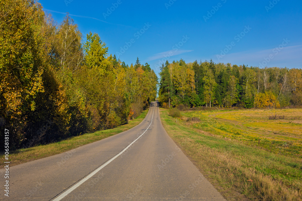 Fototapeta premium Autumn landscape, road and highway, asphalt and roadside.