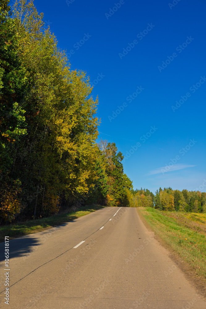 Fototapeta premium Autumn landscape, road and highway, asphalt and roadside.