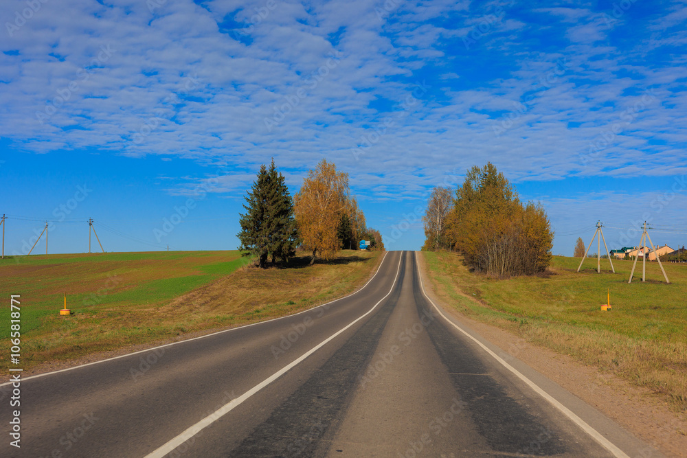 Fototapeta premium Autumn landscape, road and highway, asphalt and roadside.