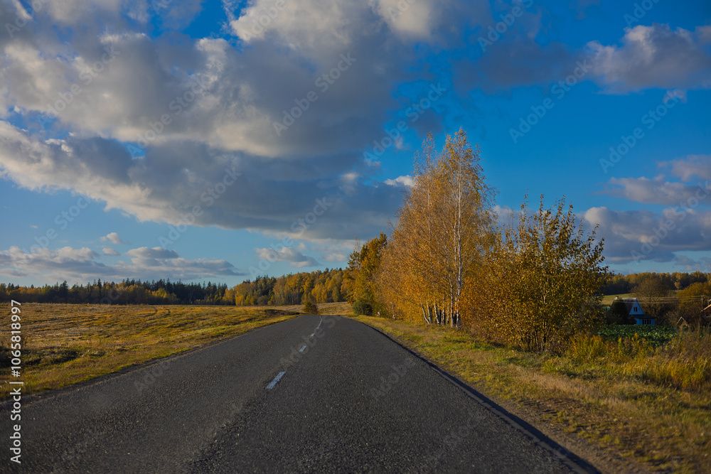 Fototapeta premium Autumn landscape, road and highway, asphalt and roadside.