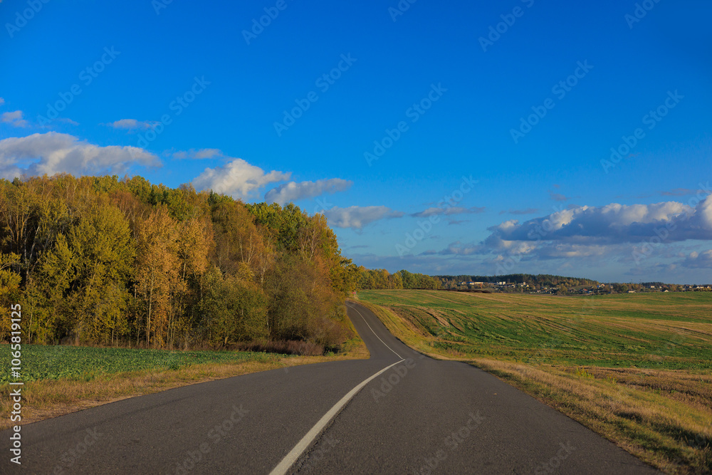 Fototapeta premium Autumn landscape, road and highway, asphalt and roadside.