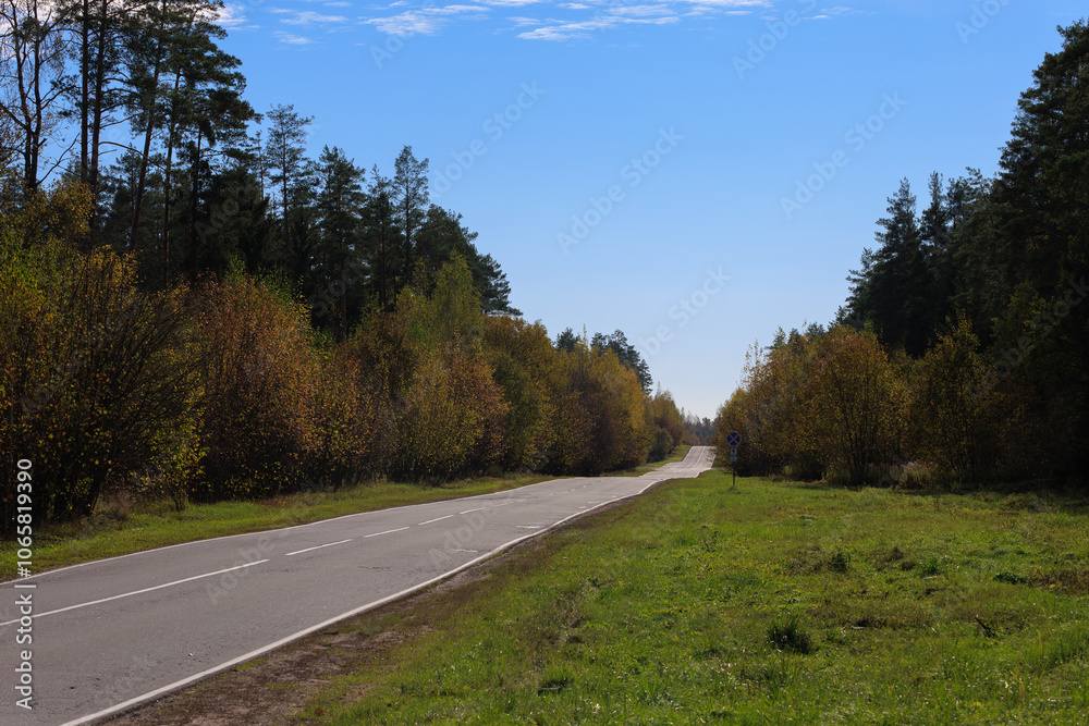 Fototapeta premium Autumn landscape, road and highway, asphalt and roadside.