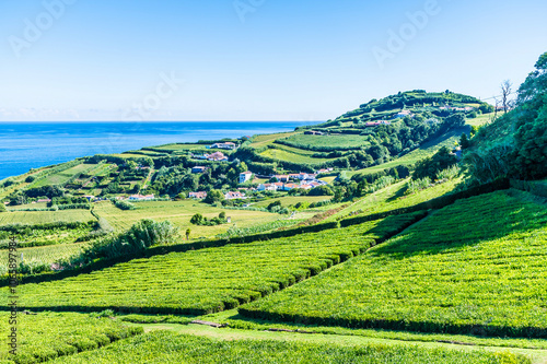 A view eastward over the tea plantation at Porto Formoso in the Azores in summertime