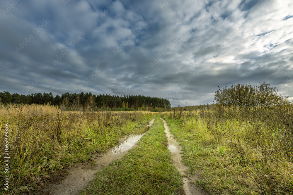 Obraz premium A road in a field with a cloudy sky in the background