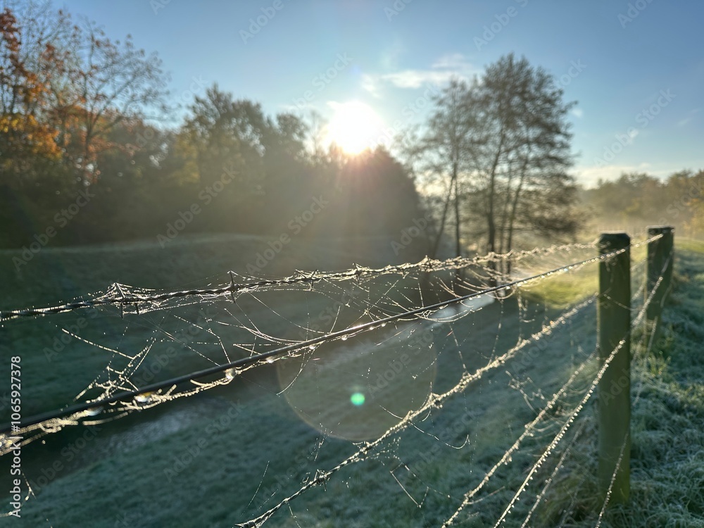 Herbst Heide Hard