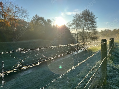 Obraz na płótnie Herbst Heide Hard w salonie