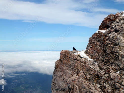 A crow bird sits on the slope of a snowy stone mountain cliff above a precipice. Against the background of the blue sky and white clouds. Below is a picturesque landscape photo