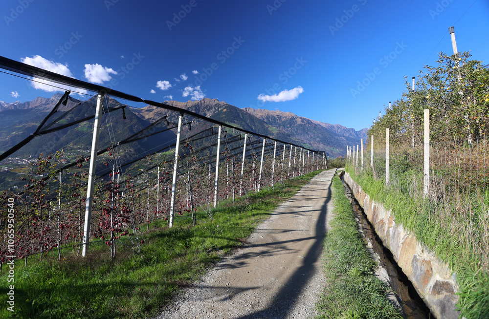 Fototapeta premium Landschaft
