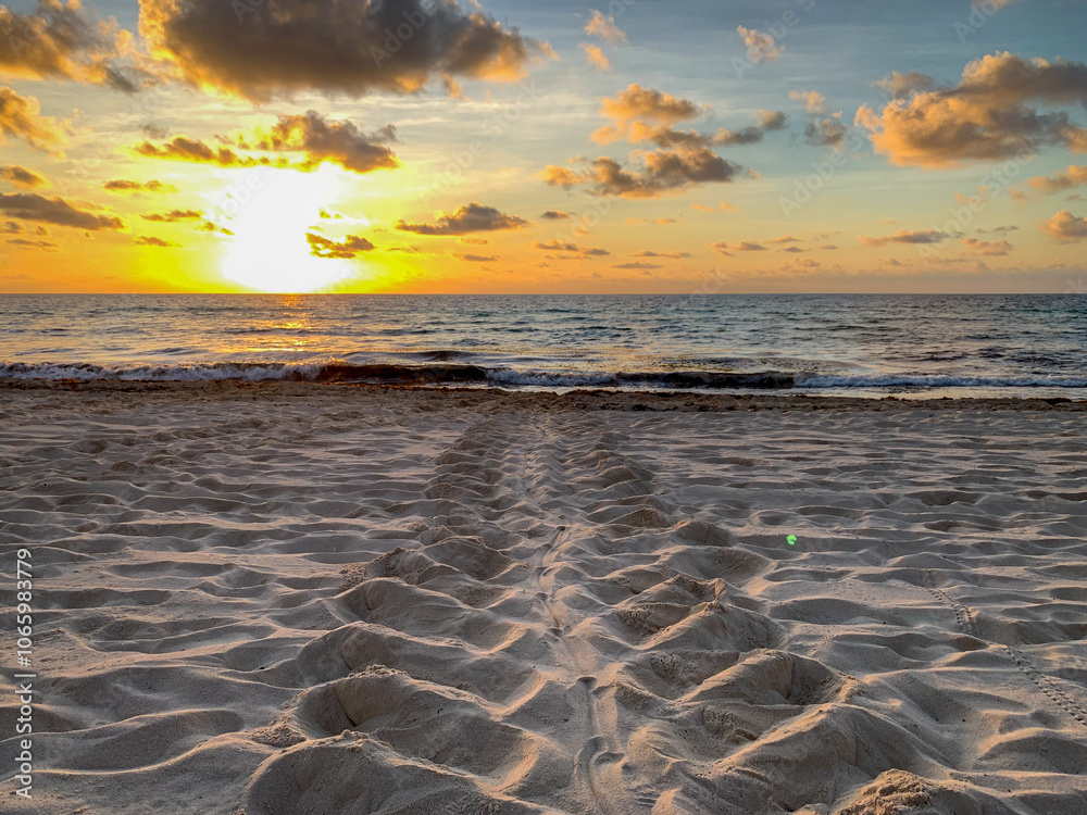 Disappearing Tracks in the Sand