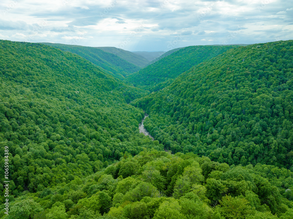 Lindy Point Overlook in Blackwater Falls State Park