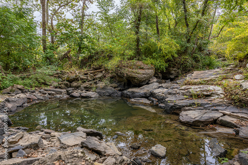 Forest Refuge: Rocky Stream and Pools