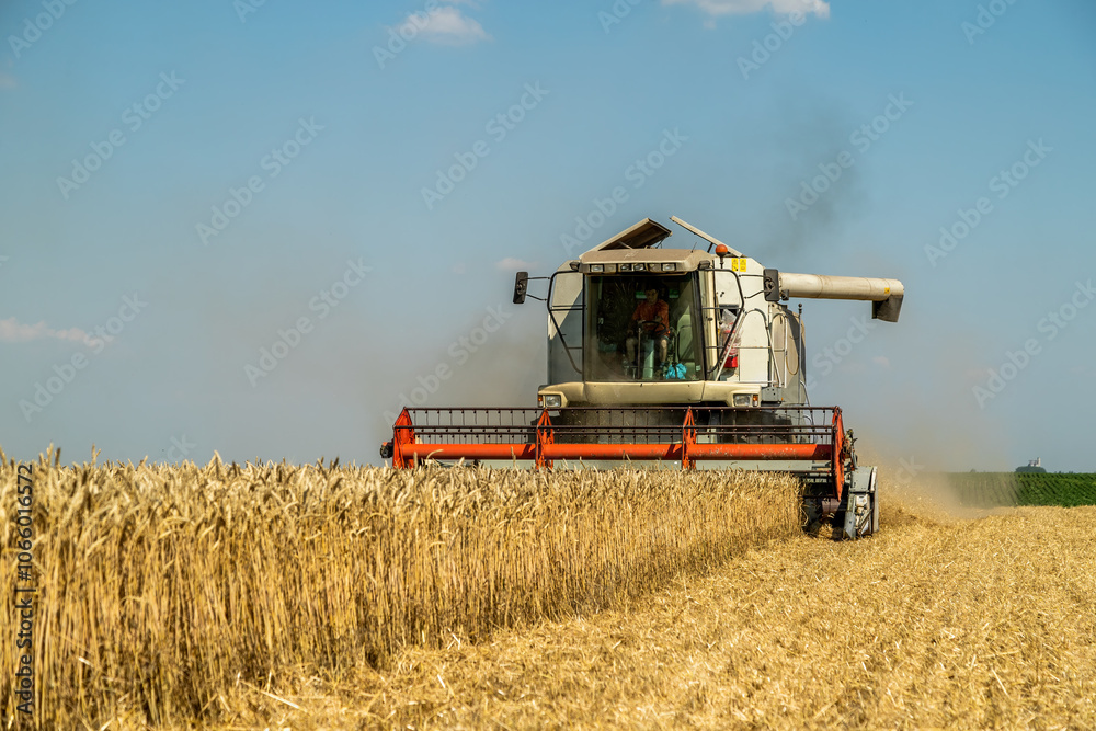 Obraz premium Combine harvester at work under the clear blue sky during wheat harvest season
