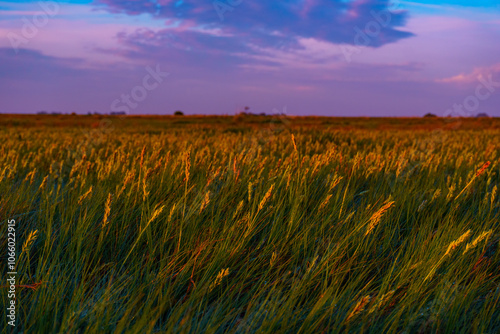 Vibrant Sunrise Over Tranquil Lagoon