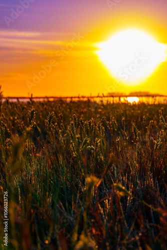 Vibrant Sunrise Over Tranquil Lagoon