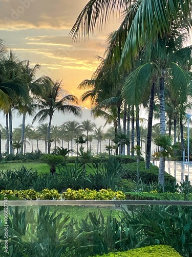 palm trees at sunset photo