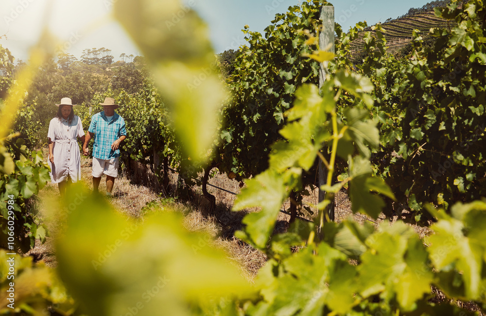 Naklejka premium Mature couple, walking and holding hands on vineyard for countryside travel, agriculture and wine farm. People, love and bonding together with village adventure, morning routine and summer vacation