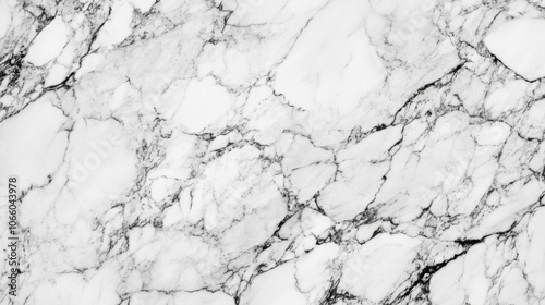 Close-up Texture of White Marble with Black Veins