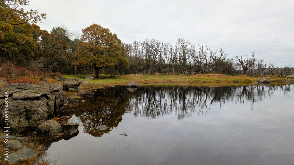 Beautiful autumn lakeside landscape scenery at Coole park nature reserve, Galway, Ireland, tranquil background