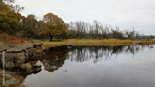 Obraz na płótnie Beautiful autumn lakeside landscape scenery at Coole park nature reserve, Galway, Ireland, tranquil background w salonie