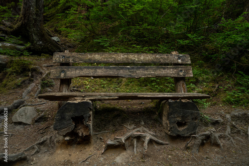 Aged Park Bench Along Trail At Sol Duc Falls photo