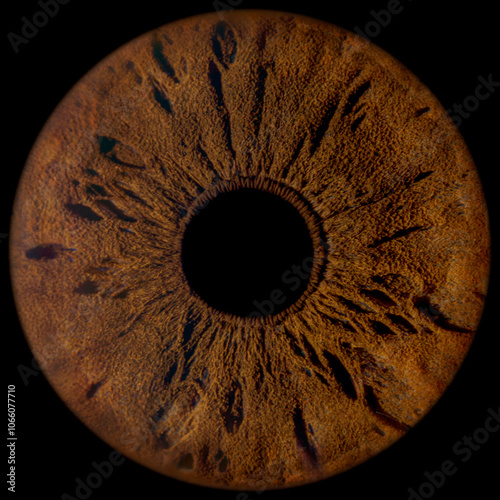Detailed Dark Brown Iris with Intricate Patterns on Black Background