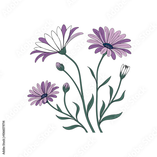 Creative Flower outline Set Design