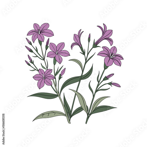 Creative Flower outline Set Design