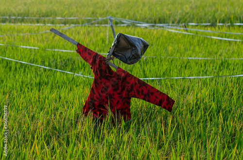 puppet on grass