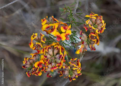 Naklejka in bloom