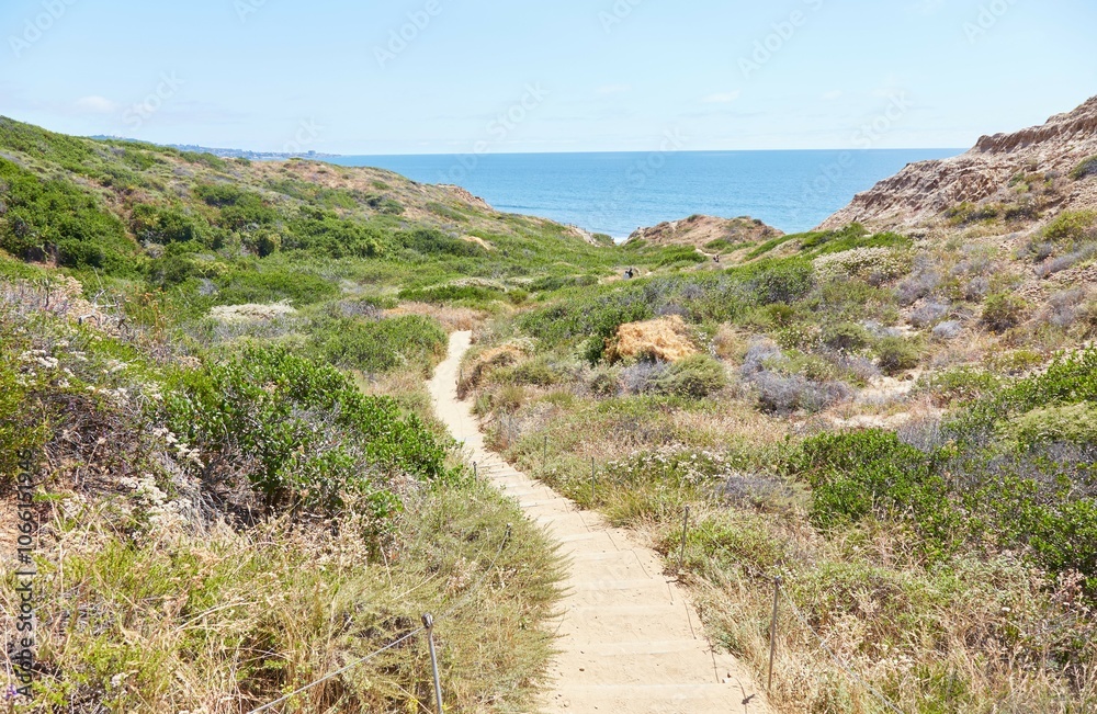 Naklejka premium The Beautiful Torrey Pines State Natural Preserve in San Diego
