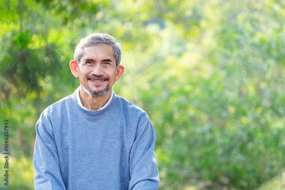 portrait senior man with grey hairin nature,elderly lifestyle,travel,relaxation portrait senior man with grey hairin nature,elderly lifestyle,travel,relaxation